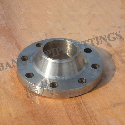 ASME WNRF FLANGE